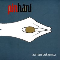Sevmekten Usanmam - Pinhani