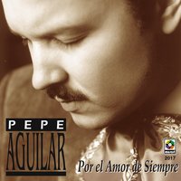 Algo de Mi - Pepe Aguilar