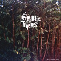 The Nerve (Nervous Dancing) - The Republic Tigers