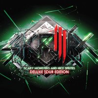 Scary Monsters and Nice Sprites - Skrillex, Zedd