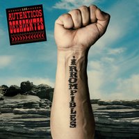 A.O.E. - Los Auténticos Decadentes