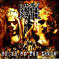 Lowest Common Denominator - Napalm Death