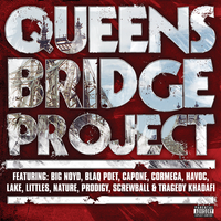 So Much Trouble - Big Noyd, Serani