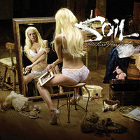 Picture Perfect - SOiL