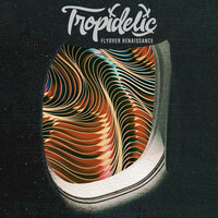 Pressure - Tropidelic, The Palmer Squares