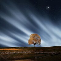 Unified Minds - White Noise for Baby Sleep, Sleep Sounds Of Nature, Nature Sounds