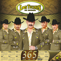 Amor Compartido - Los Tucanes De Tijuana