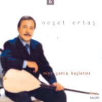 Bağa Gel Bostana Gel - Neşet Ertaş