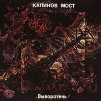Вышло так - Калинов Мост