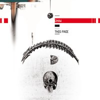 Feelers - Gnaw