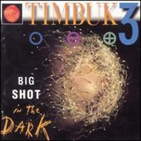 The Border Crossing - Timbuk 3