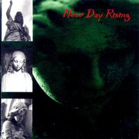 Shithead - New Day Rising