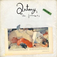 Christina's Farm - Antony & The Johnsons