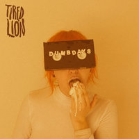 Cilantro - Tired Lion