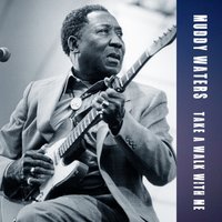 Take a Walk With Me - Muddy Waters