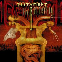 True Believer - Testament