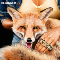 Meine Posse - Beginner, Samy Deluxe