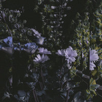 Beautiful Love - Montell Fish