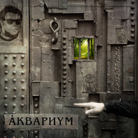 На ход ноги - Аквариум