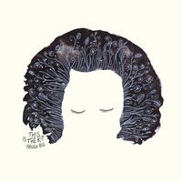Moths - This Is The Kit