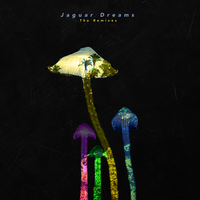 Just Life - Jaguar Dreams, Nala