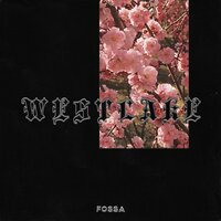 Never Thought - Fossa Beats, Trevor Daniel