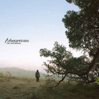 The White Bird - Arbouretum