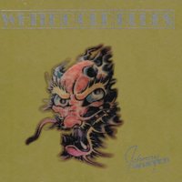 38-32-20 - Johnny Winter