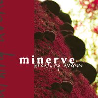 Antimatter - Minerve