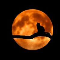 Keeping It Calm - Relaxing Mindfulness Meditation Relaxation Maestro, Tonal Meditation Collective, Academia de Música con Sonidos de la Naturaleza
