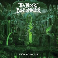 Godlessly - The Black Dahlia Murder
