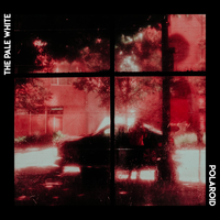 Polaroid - The Pale White