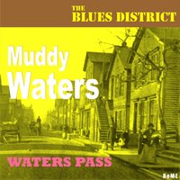I Feel Like Going Home - Muddy Waters