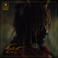 Funny Thing - Thundercat