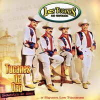 Eres Mi Sueño - Los Tucanes De Tijuana