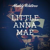 Screamin' and Cryin' - Muddy Waters, 3