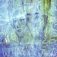 Bluebird - Jim White
