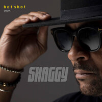 Buk-in-Hamm Palace (Hot Shot 2020) - Shaggy