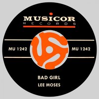 Day Tripper - Lee Moses