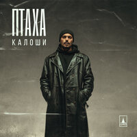 Калоши - Птаха