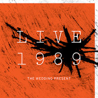 Brassneck - The Wedding Present
