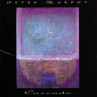 Sails Wave Goodbye - Peter Murphy