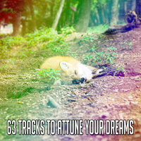 Freed from Insomnia. - Nature Sounds Nature Music