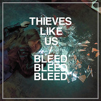 Thieves Like Us