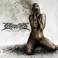 Castigation And Rebirth - Ingested