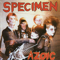 Stand Up Stand Out - Specimen