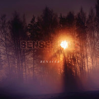 Between The Mountains And The Sea - Senses Fail