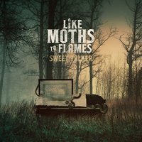 Death Cup - Like Moths To Flames
