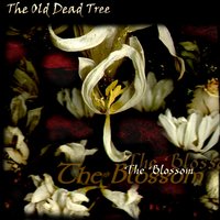 The Dark Missionary - The Old Dead Tree