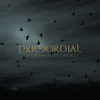 Tragedy's Birth - Primordial